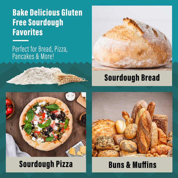 Organic Guten Free Sourdough Starter