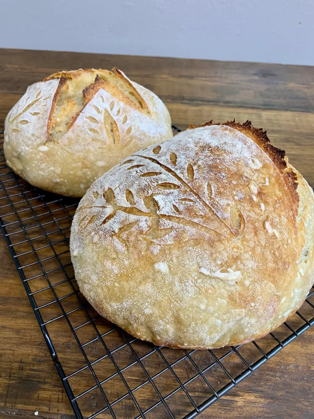 Sourdough Starter Organic