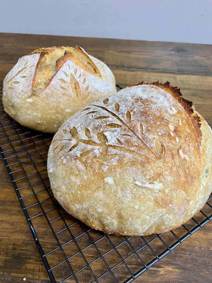 Sourdough Starter Organic