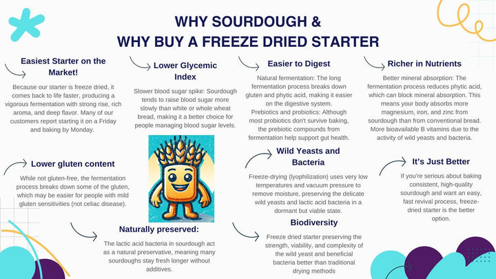 recipe sourdough starter
