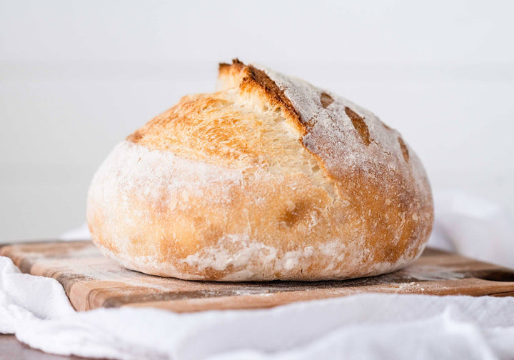 Sourdough Starter Organic