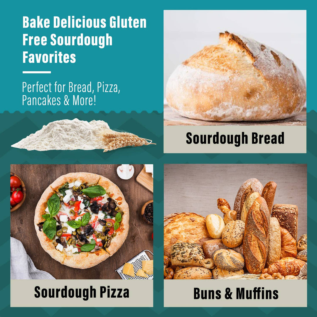 Organic Guten Free Sourdough Starter