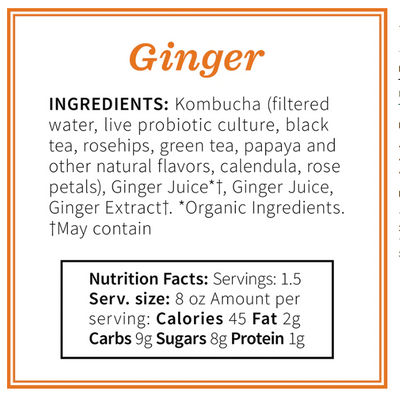 Ginger Sparkling Kombucha Tea