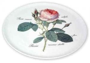 Redoute Rose Bone China Cake Plate - Roy Kirkham Fine Bone China
